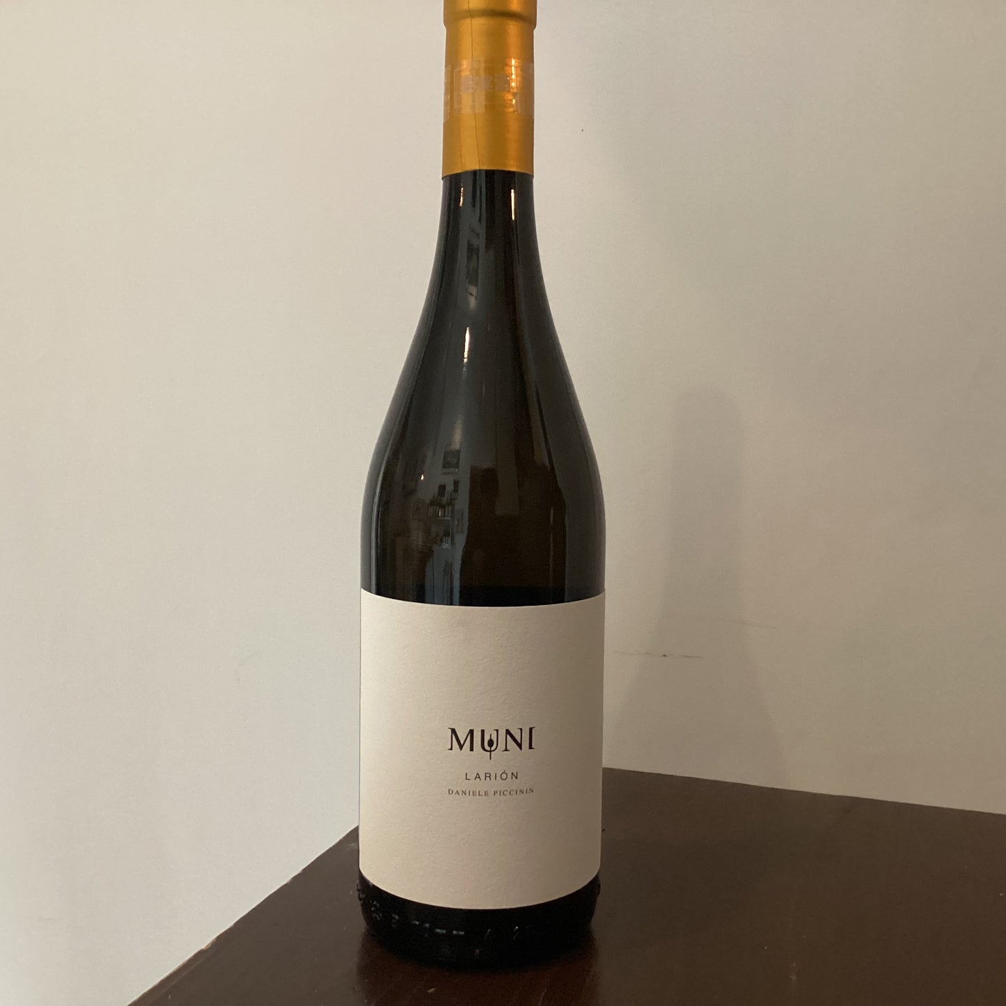 Daniele Piccinin Larion 2023