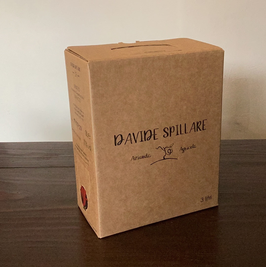 Davide Spillare Garganega BIB 2022
