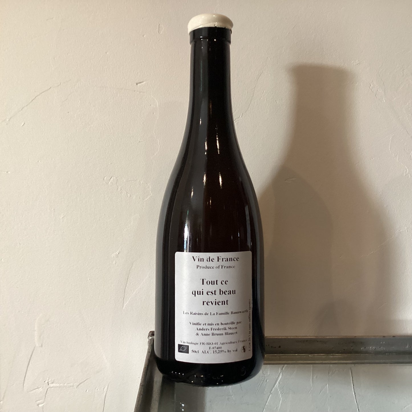 Anders Frederik Steen Tout ce qui est beau revient 2020