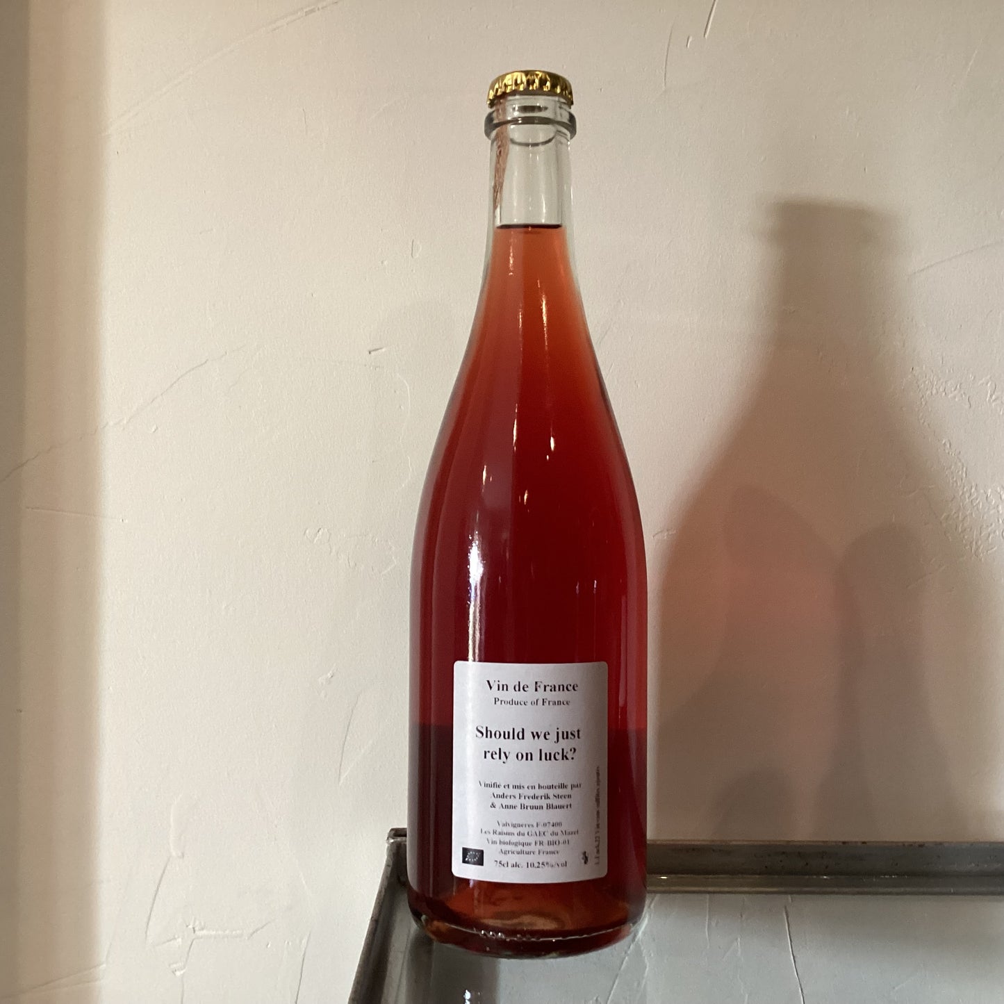 Anders Frederik Steen Should we just rely on luck? 2022