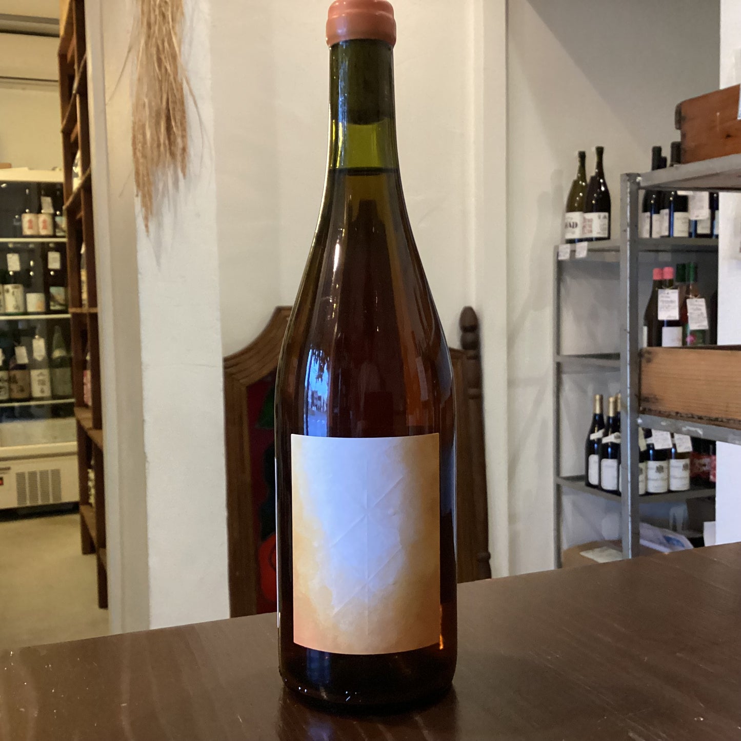 Anais Fanti Costa Rawa 2023