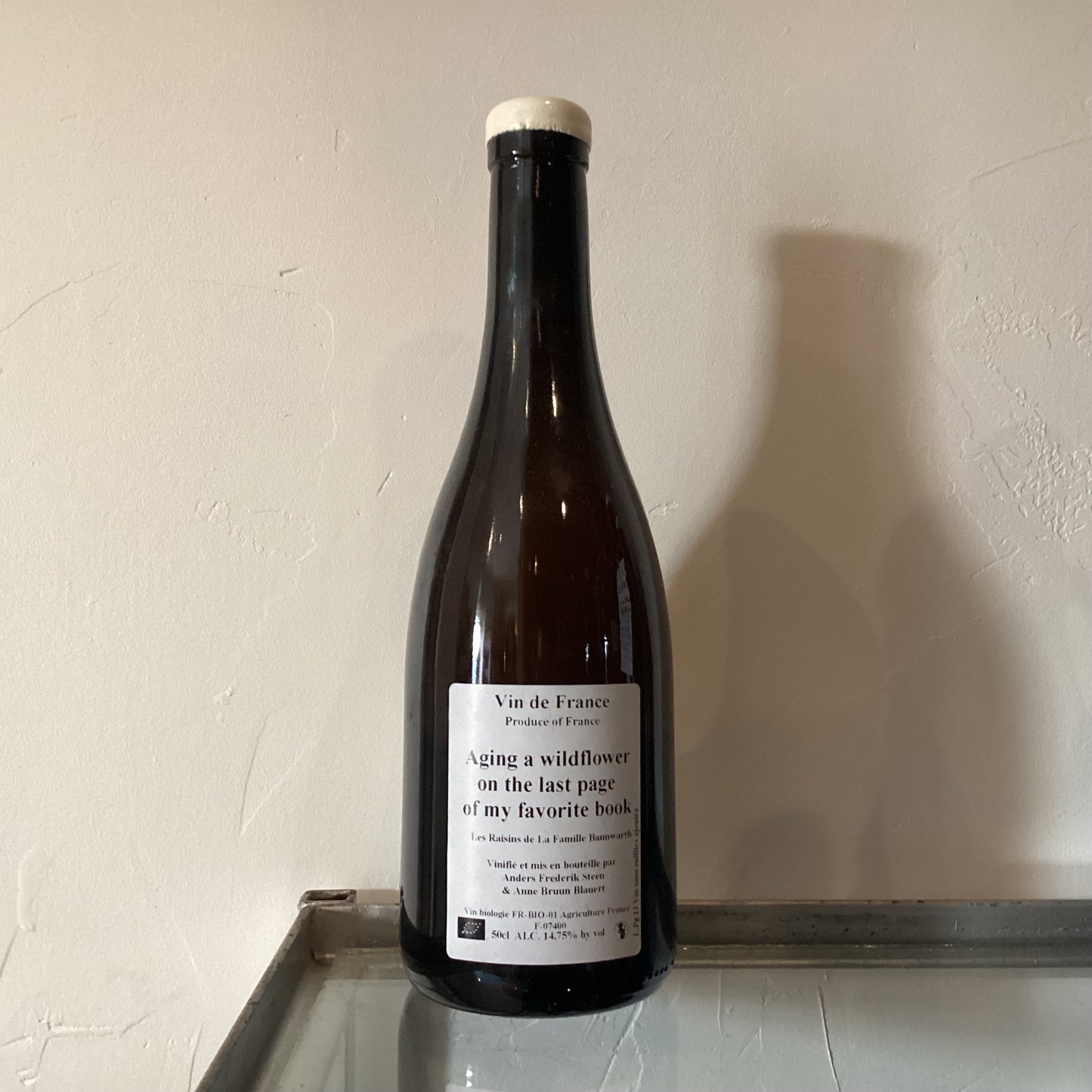 Anders Frederik Steen Aging a wildflower on the last page of my favorite book 2013