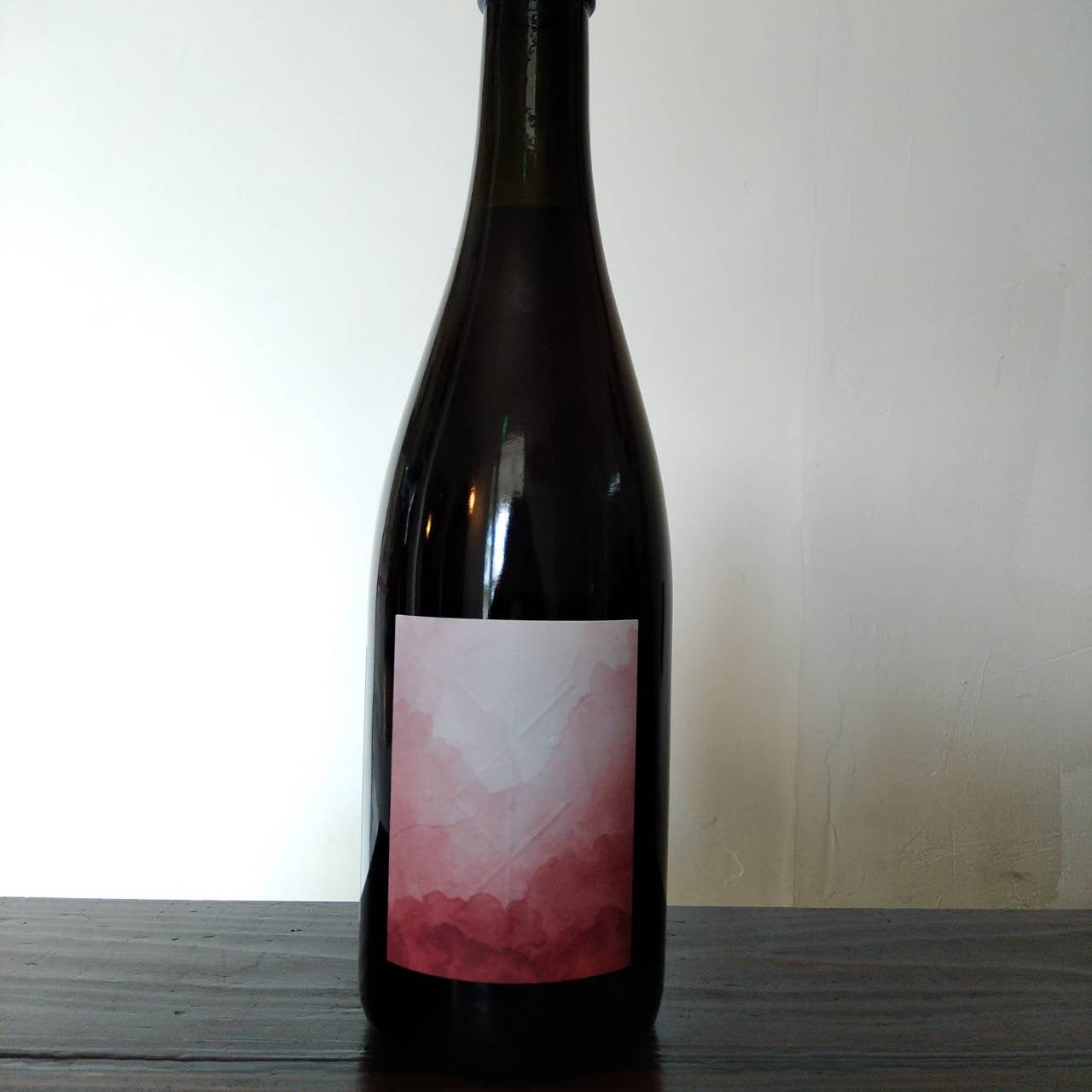 Anais Fanti Pampa Rosa 2022