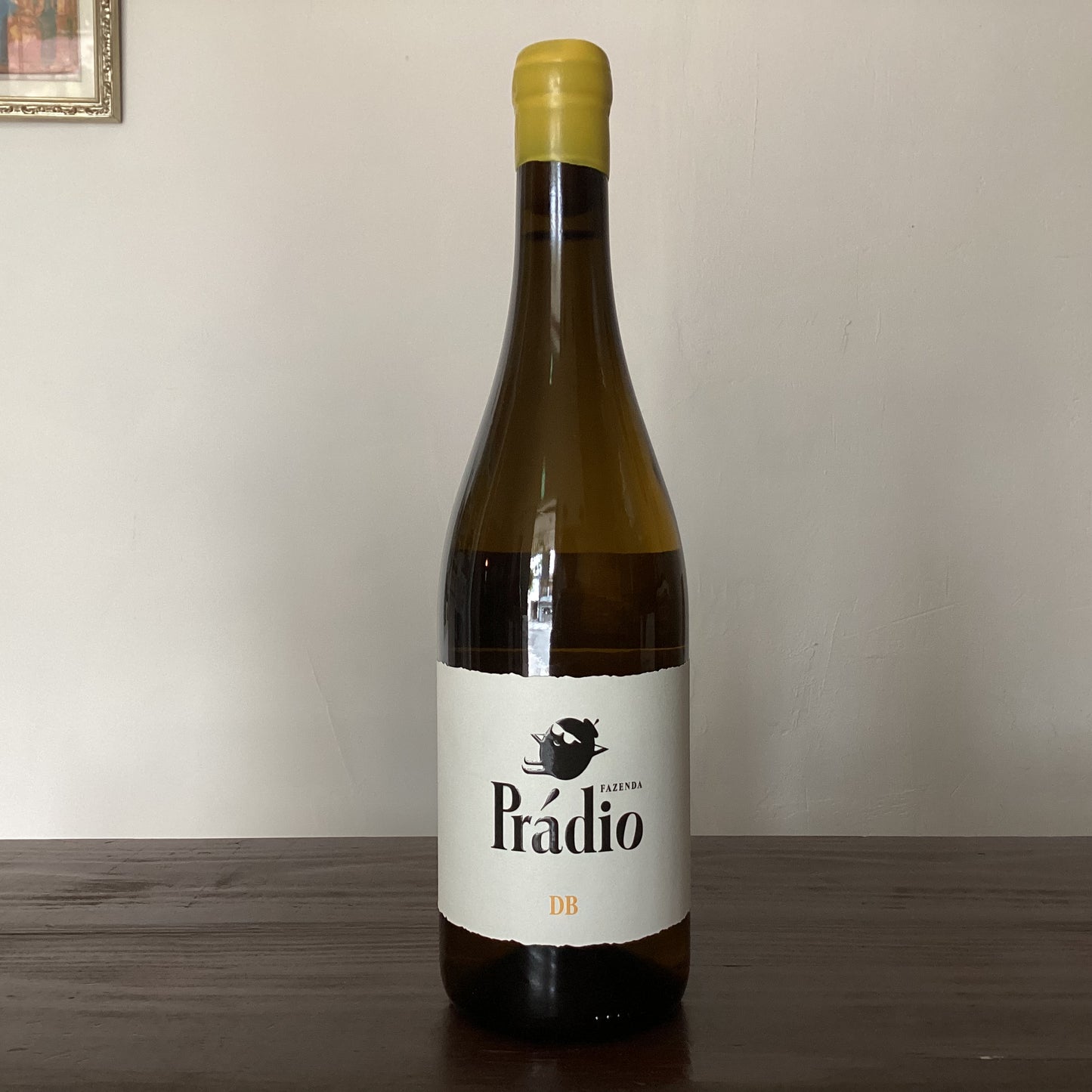 Fazenda Prádio Doña Blanca 18