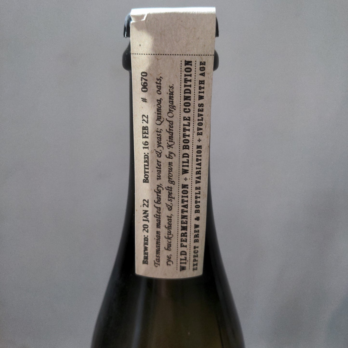 Two Meter Tall Forth All-Grain Wild Farmhouse Ale