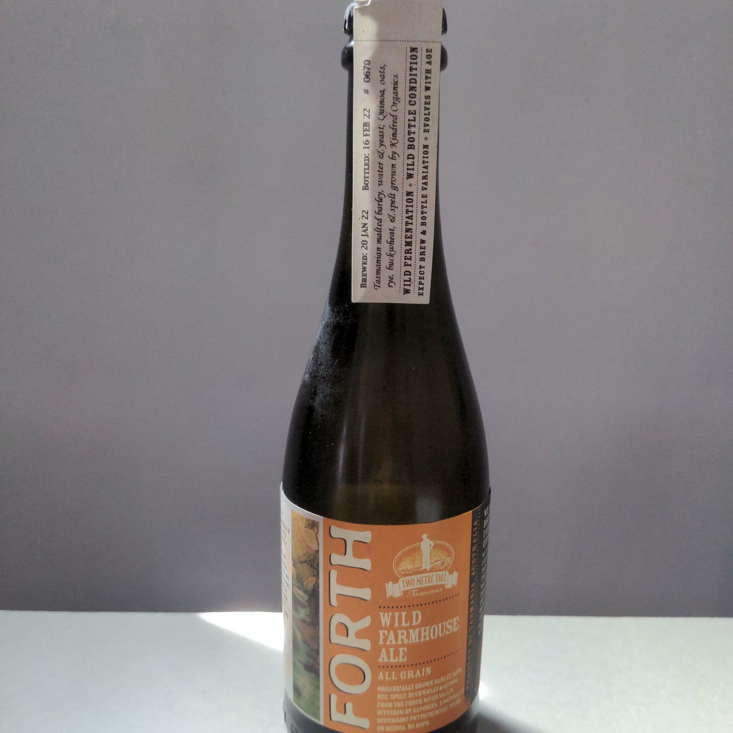 Two Meter Tall Forth All-Grain Wild Farmhouse Ale