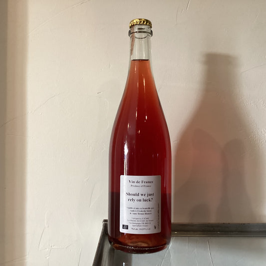 Anders Frederik Steen　Should we just rely on luck? 2022