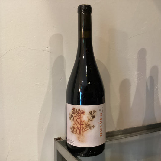 Tailleurs Cueilleurs　Novera 2023