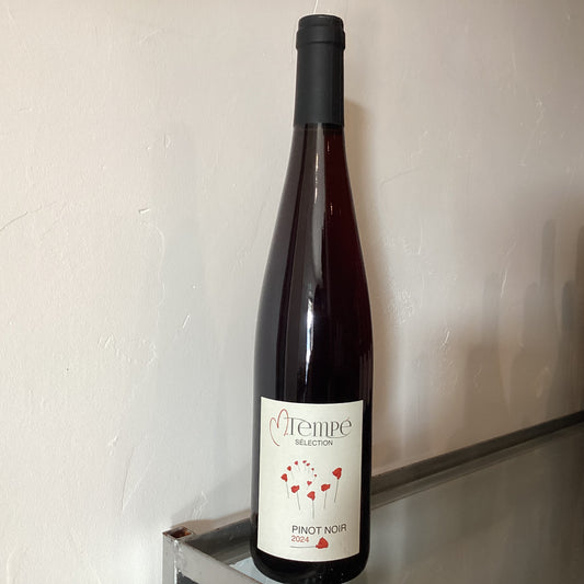 MT Vins　Pinot Noir MT 2024