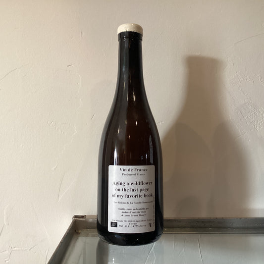 Anders Frederik Steen　Aging a wildflower on the last page of my favorite book 2013