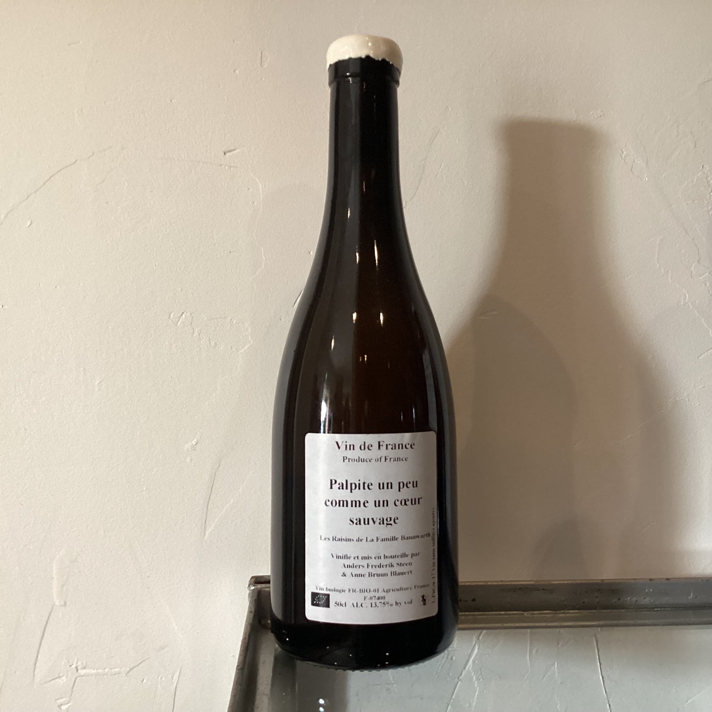 Anders Frederik Steen　Palpite un peu comme un coeur sauvage 2017